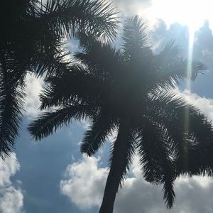 Meet your Posher, Gabrielle